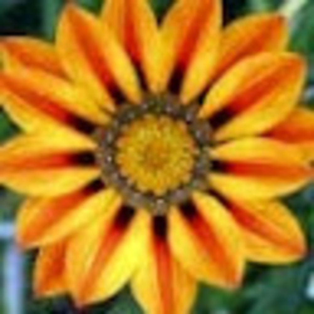 Meet your Posher, Lynn